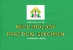 NECO Biology Practical Specimen