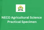 NECO Agricultural Science Practical Specimen