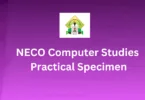 NECO Computer Studies Practical Specimen