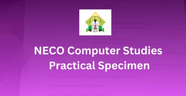 NECO Computer Studies Practical Specimen
