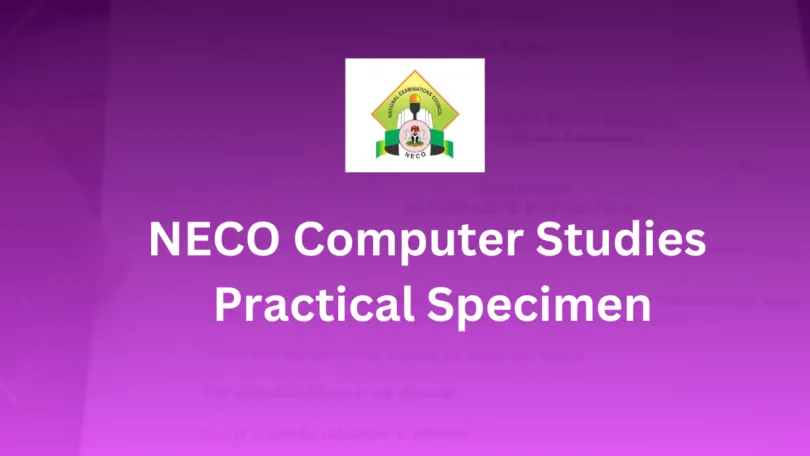 NECO Computer Studies Practical Specimen