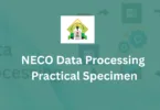 NECO Data Processing Practical Specimen
