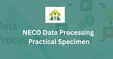 NECO Data Processing Practical Specimen
