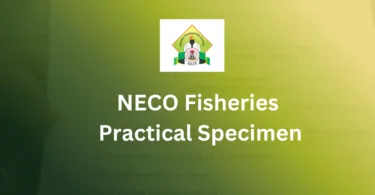 NECO Practical Specimen for Fisheries