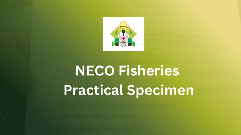 NECO Practical Specimen for Fisheries