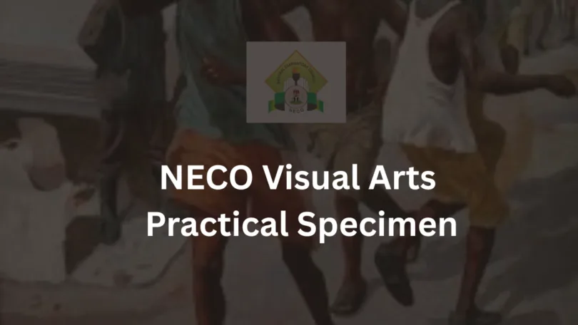 NECO Visual Arts Practical Specimen