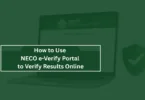 How to Use NECO e-Verify Portal to Verify Results Online
