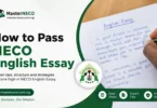 How to Pass NECO English Essay